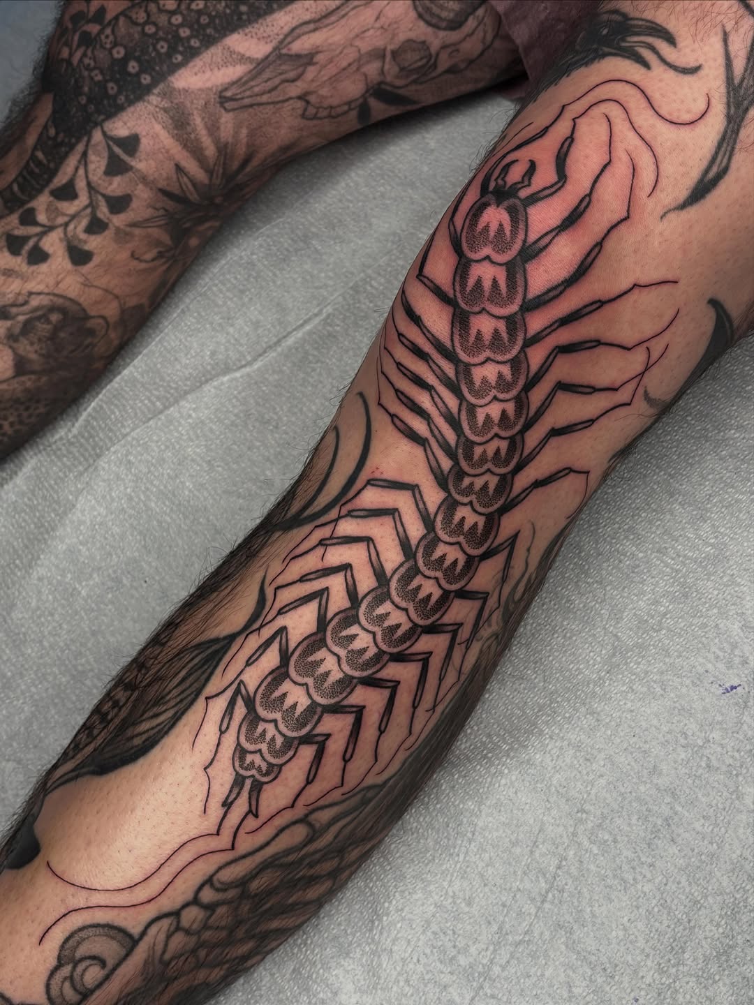 Centipede tattoo running vertically down forearm with segmented body details, black ink with shading, surrounded by decorative line work.