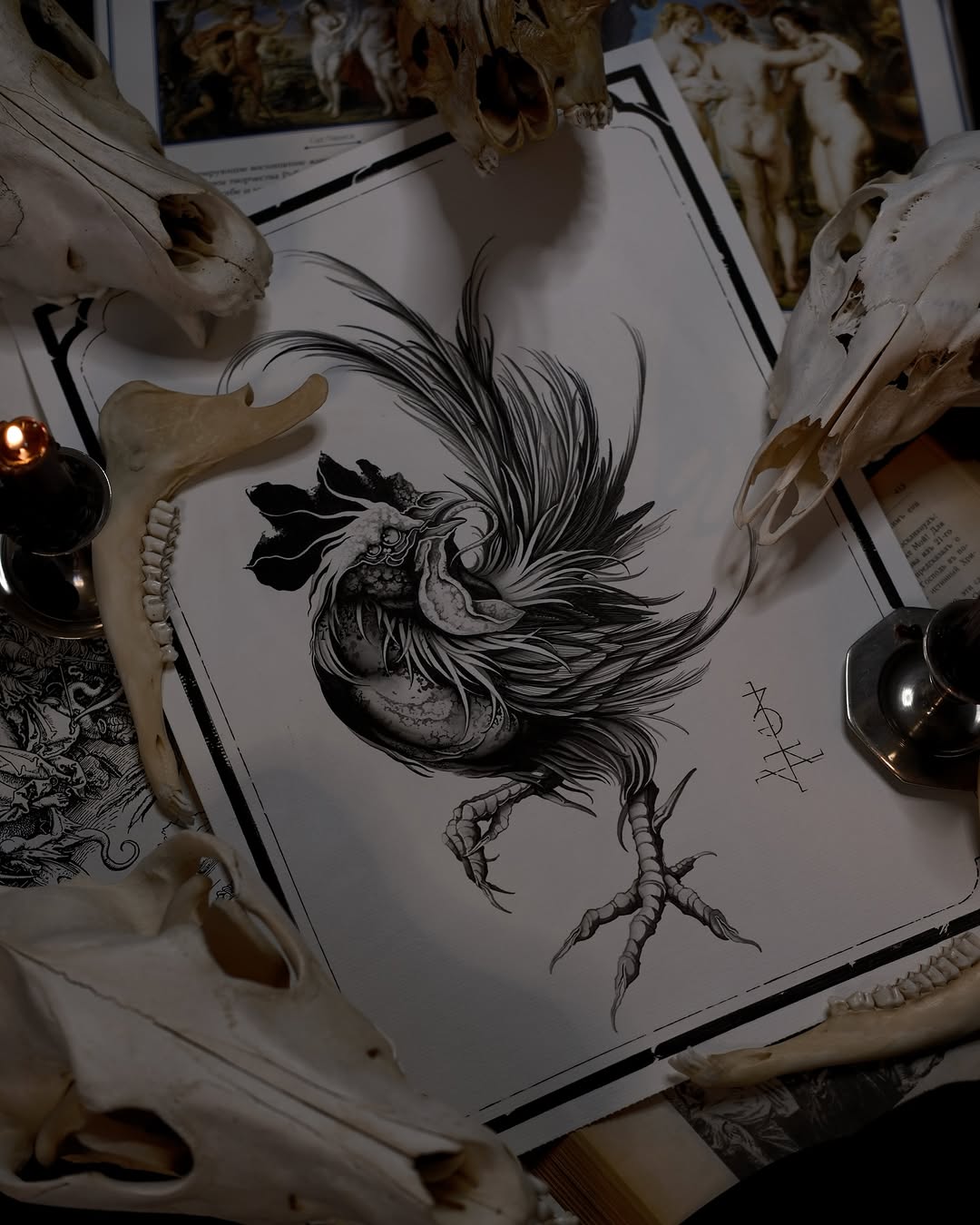 Detailed ink drawing of a rooster with flowing tail feathers and scaled legs on white paper, surrounded by animal skulls and reference materials.