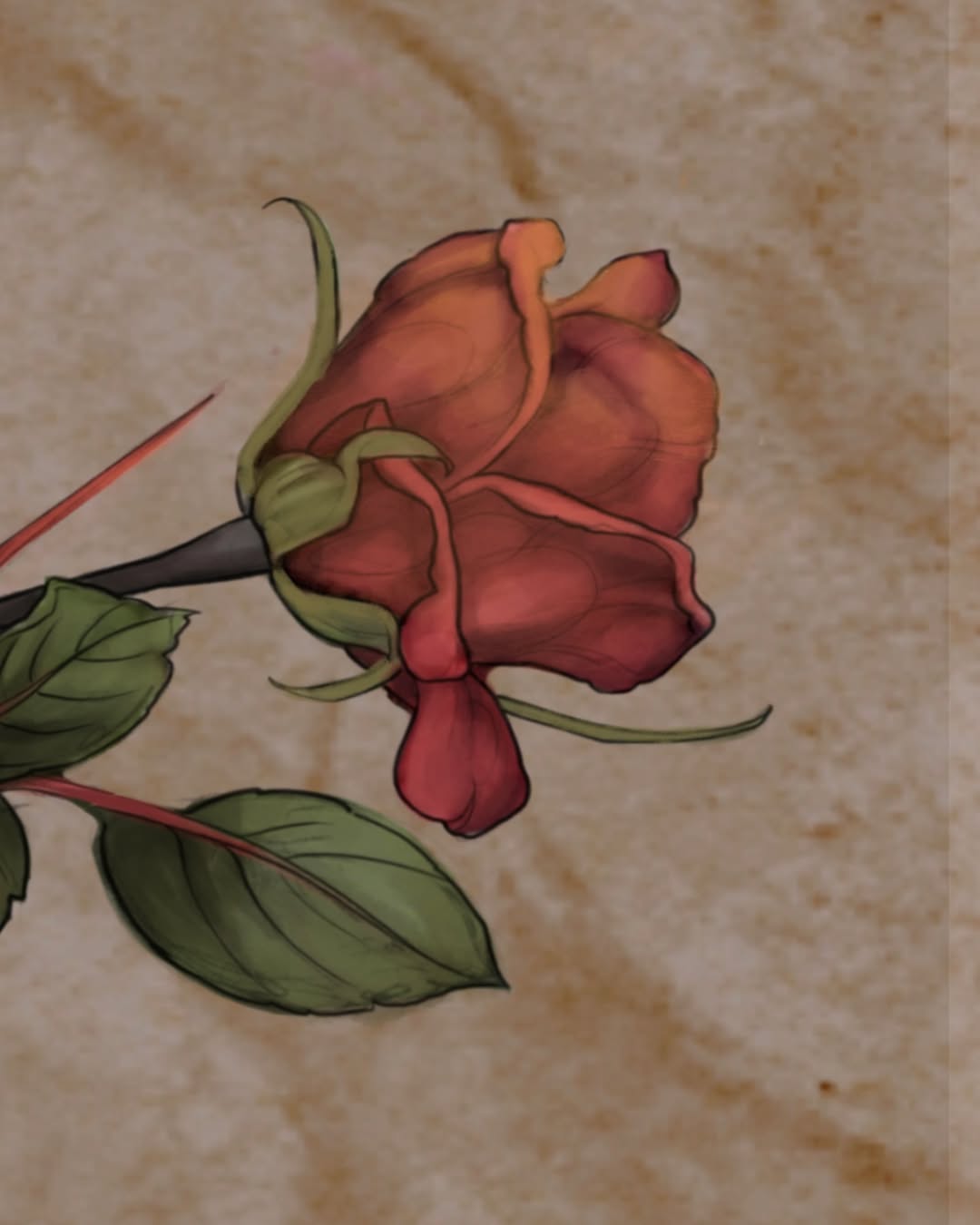 Red rose with green sepals and stem on textured beige background, featuring shaded petals and curved botanical details.