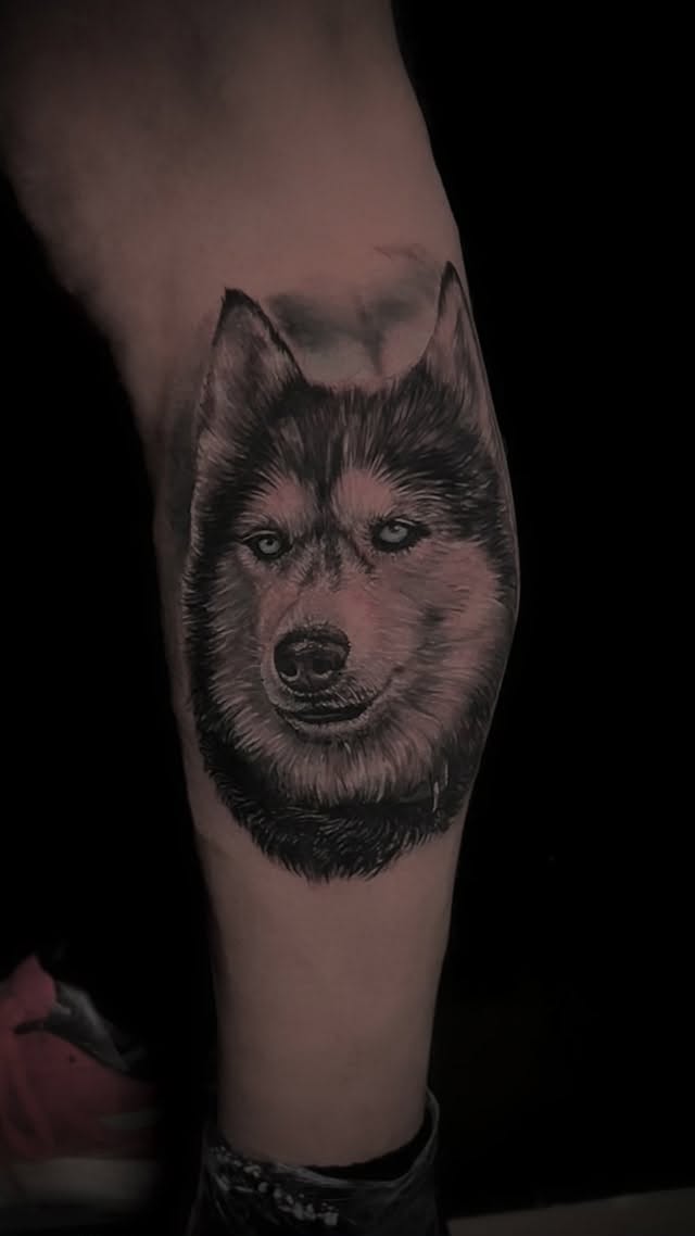 Husky dog head portrait tattoo on the calf in black and gray ink with detailed facial features and fur texture.