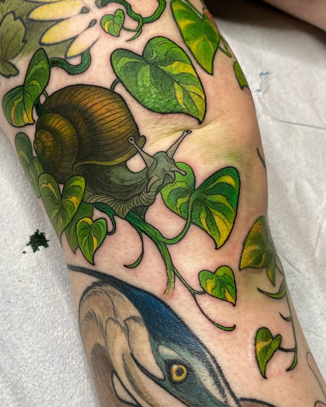 Colorful tattoo on a leg featuring a snail climbing green and yellow leafy vines, with a fish visible at the bottom.